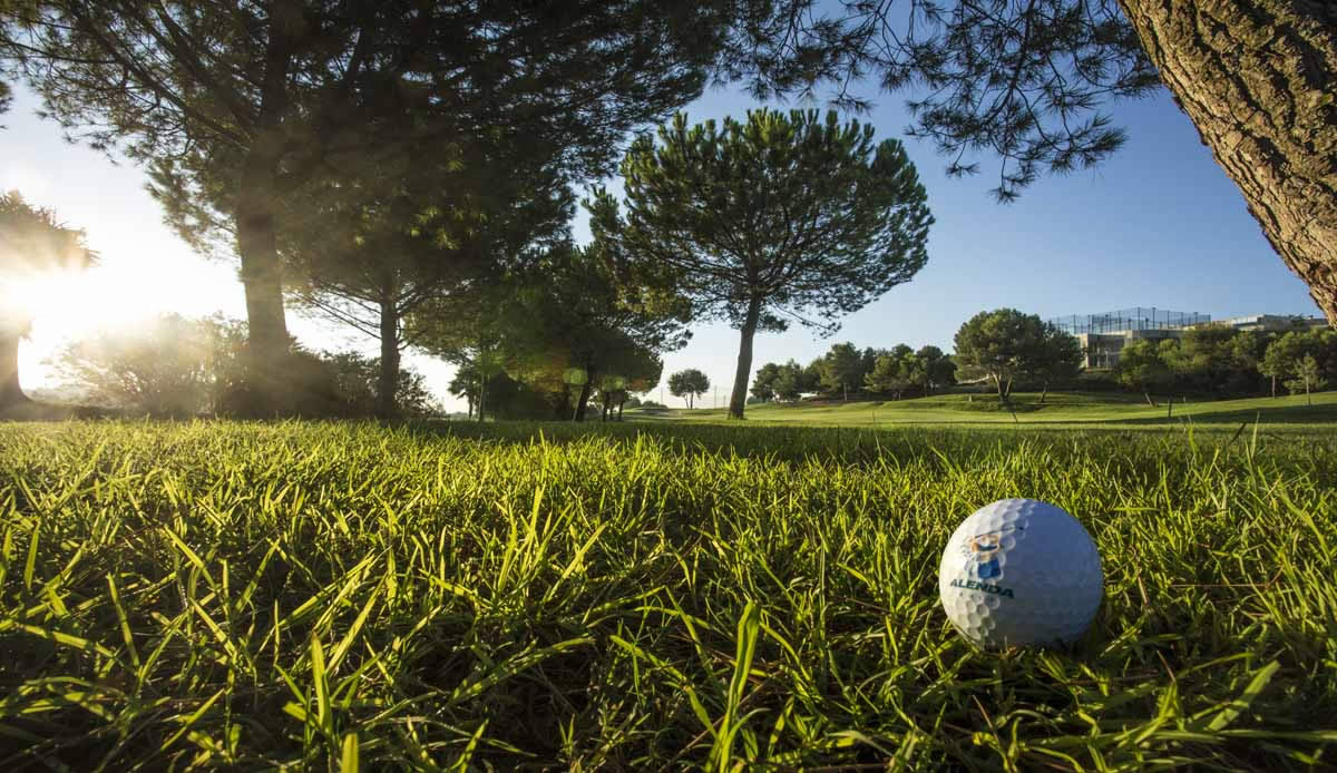 alenda golf course